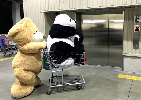 衝撃 神奈川の コストコ にクマが出没 巨大パンダを購入して帰っていく様子がかわいすぎる 16年4月25日 エキサイトニュース