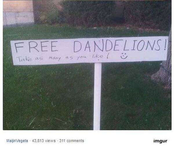 隣人からの怒りの手紙 お宅の庭を何とかしてよ に こう対処してみた 開き直りすぎた対応が秀逸すぎる件 16年6月16日 エキサイトニュース