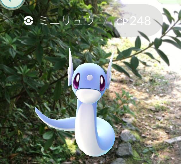 ポケモンgo レア度高めな ミニリュウ をゲットしたくば京都に行け 円山公園 で取れまくりだぜ 16年7月28日 エキサイトニュース