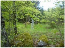 世界で最も若いおばあちゃん なんと23歳 11年3月8日 エキサイトニュース