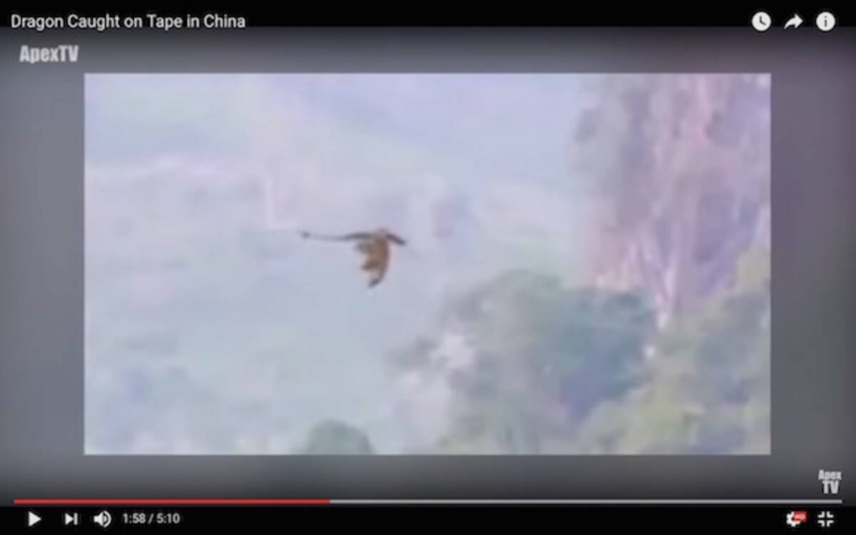 新種か 中国の山奥でドラゴンのような未確認生物が撮影される 16年10月24日 エキサイトニュース