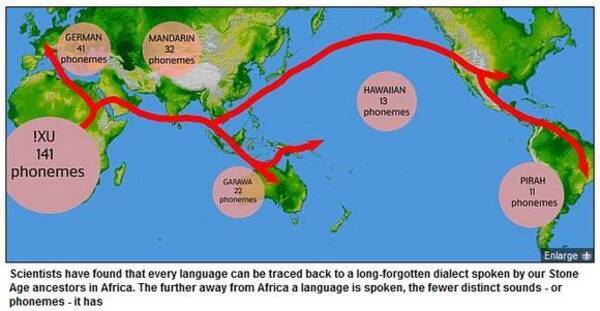 やはり人間の起源はアフリカ 世界のすべての言語は石器時代のアフリカ言語から生まれた 11年4月18日 エキサイトニュース