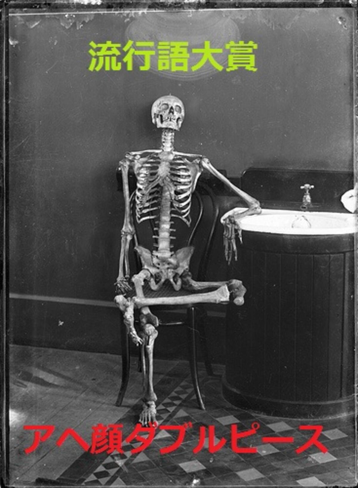 これが流行語大賞になったら日本終了って言葉 アヘ顔ダブルピース など 11年5月日 エキサイトニュース