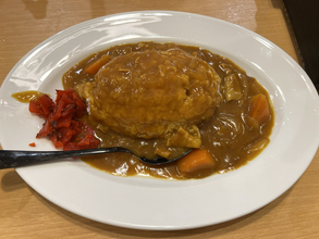 カレー290円！ 異次元の大阪激安うどん屋『赤川うどん』に行ってみた / 立ち食いそば放浪記：第398回 城北公園通