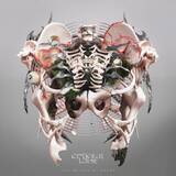 「Crystal Lake、7年ぶり最高傑作完成　YDが語る葛藤と覚悟「エゴとアイデンティティは紙一重」」の画像4