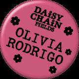 「オリヴィア・ロドリゴ主催「Daisy Chain Fields」はいかに音楽史を塗り替えたのか？　世代を超えた「女性たちの連帯」を語り合う」の画像6
