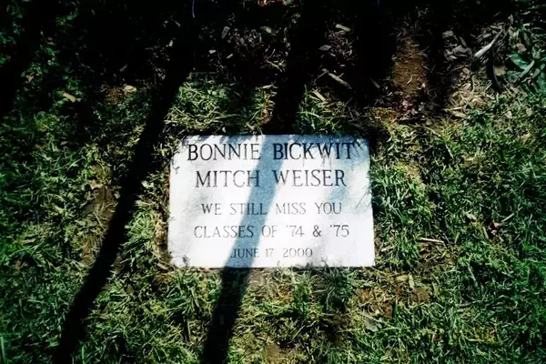 「50年前の未解決事件、音楽フェス目指しヒッチハイクの旅に出た高校生は今どこへ？ 米」の画像