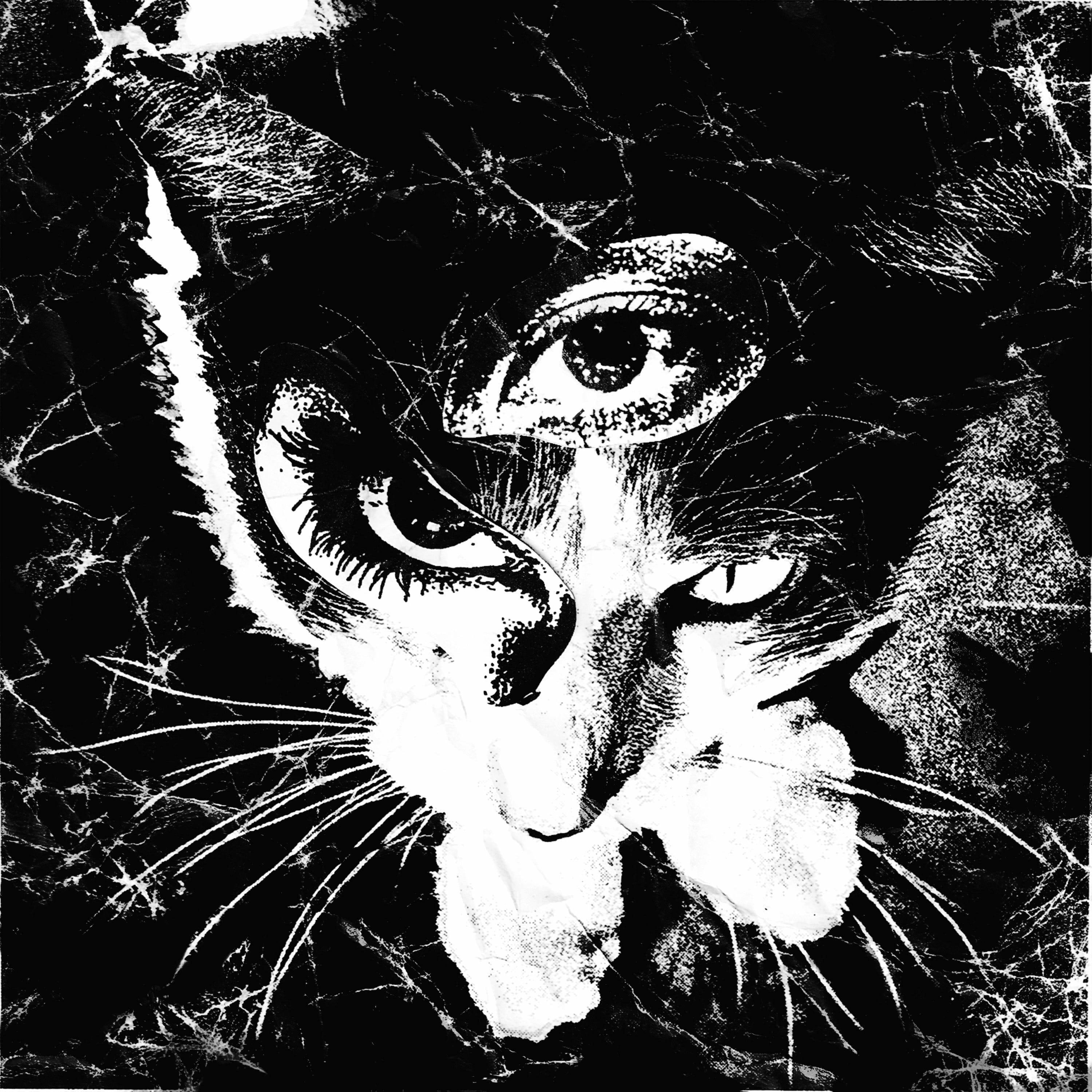 東京酒吐座が語る「シューゲイザー」の呪縛を乗り越え、拡張した新境地、Wispとの共演秘話