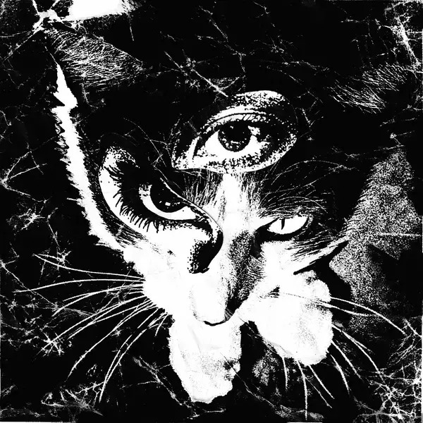 「東京酒吐座が語る「シューゲイザー」の呪縛を乗り越え、拡張した新境地、Wispとの共演秘話」の画像