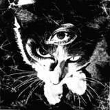 「東京酒吐座が語る「シューゲイザー」の呪縛を乗り越え、拡張した新境地、Wispとの共演秘話」の画像8