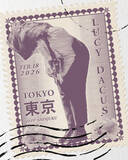 「Lucy Dacusが語る「永遠の愛」とクィアネス、ライブ中に結婚式を執り行う理由」の画像5