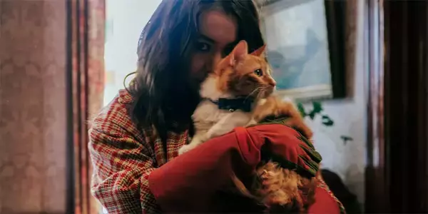 ミツキが選ぶ「歴史上もっともクールな猫」5選