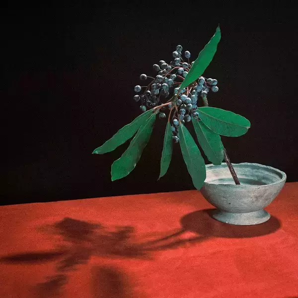 「indigo la End武道館2daysレポート　15年の歩みを総括し、バンドは新しい未来へ」の画像