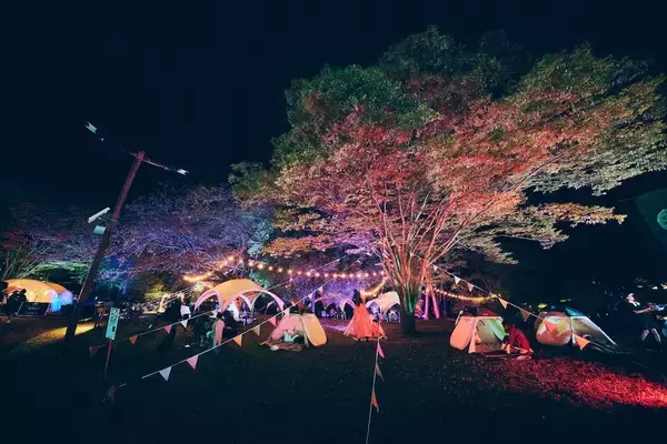 「「LIVE AZUMA 2025」主催者が語る、福島でスタジアムフェスが誕生するまでの軌跡」の画像