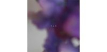 D.A.N.、新曲「Purple Sunchine」配信リリース決定