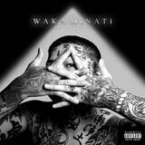 「和歌山発ラッパーT.i.G skysea、新作アルバム『WAKA MiNATi』リリース　MIKADO、Homunculu$ら豪華勢が集結」の画像2