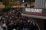 「バッド・バニー奇跡の初日本公演レポート　「音楽に言語の壁はない」ラテンポップ熱狂の宴」の画像3