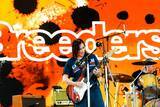 「オリヴィア・ロドリゴ主催「女性たちの祝祭」Daisy Chain Fields Festivalを総括──支援団体に16億円寄付、喜びに満ちた一日」の画像12