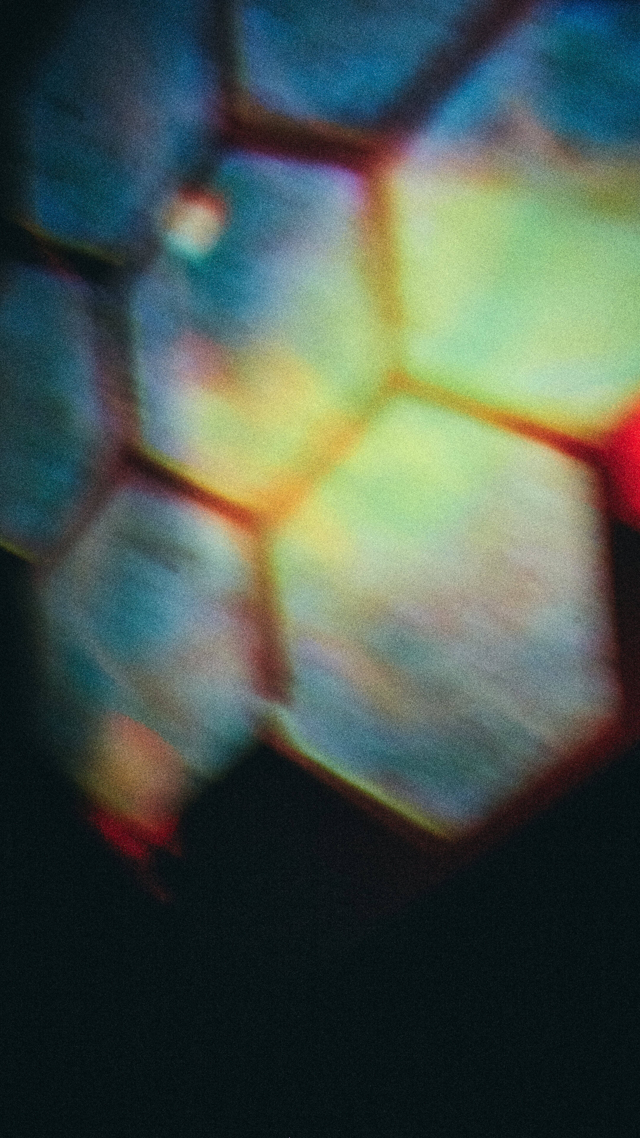 Boards of Canada『Inferno』──「現実という名の地獄」を描く最新アルバムの全容