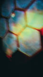 「Boards of Canada『Inferno』──「現実という名の地獄」を描く最新アルバムの全容」の画像5