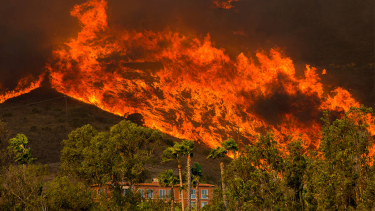 カリフォルニア大火災の原因は何か 環境保護主義者の責任だと発言する米政府 18年11月23日 エキサイトニュース