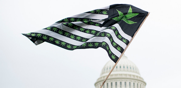 「大麻合法化」は、米国にどのような変化をもたらしたのか？