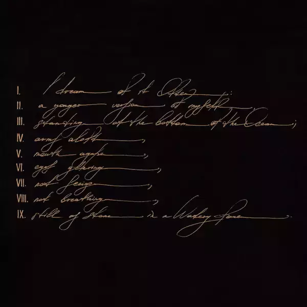 「テレフォン・テル・アヴィヴ、10年ぶりのアルバムより幻想的なMVを公開」の画像