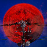 「女王蜂、自身初の日本武道館単独公演2days開催」の画像2