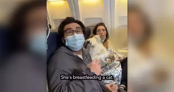 機内騒然「猫に授乳する女性」動画の真相 米