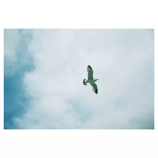 「菅田将暉×山内総一郎、初対談で見出した共鳴──「音楽に嘘はつけない」」の画像