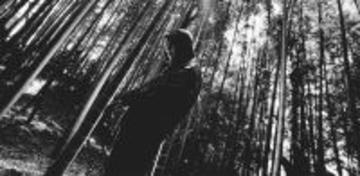 a crowd of rebellion宮田大作によるnoma（D）、2ndシングルリリース決定