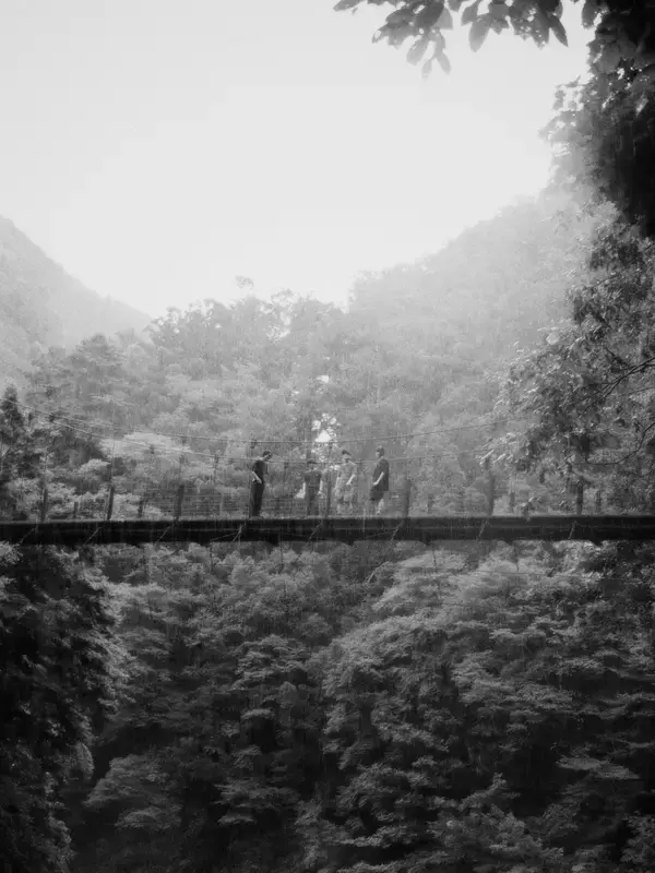 「ひとひらインタビュー　オルタナ新世代の結成秘話、エモとポストロックを越境するツインギターと哲学性の源流」の画像