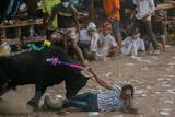「世界でもっとも危険な遊戯、コロンビアの闘牛「コラレハ」衝撃ルポ」の画像4