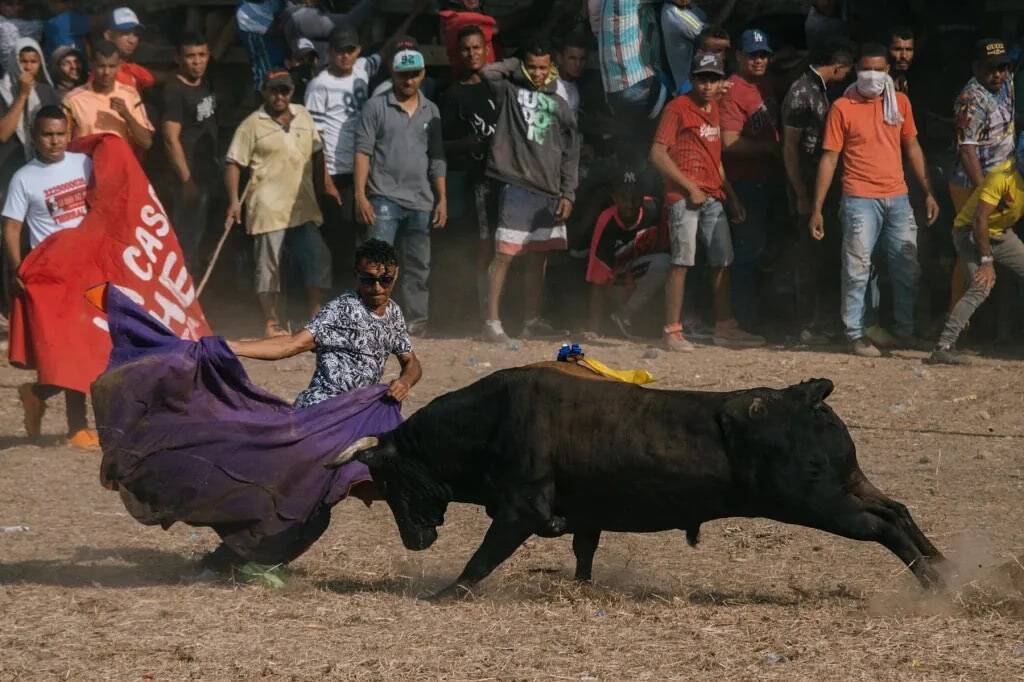世界でもっとも危険な遊戯、コロンビアの闘牛「コラレハ」衝撃ルポ