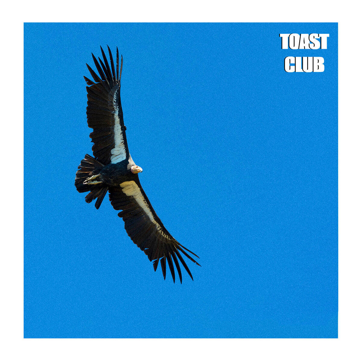 TOAST CLUBが語る、即興とダンスフロアをつなぐグルーヴの作法