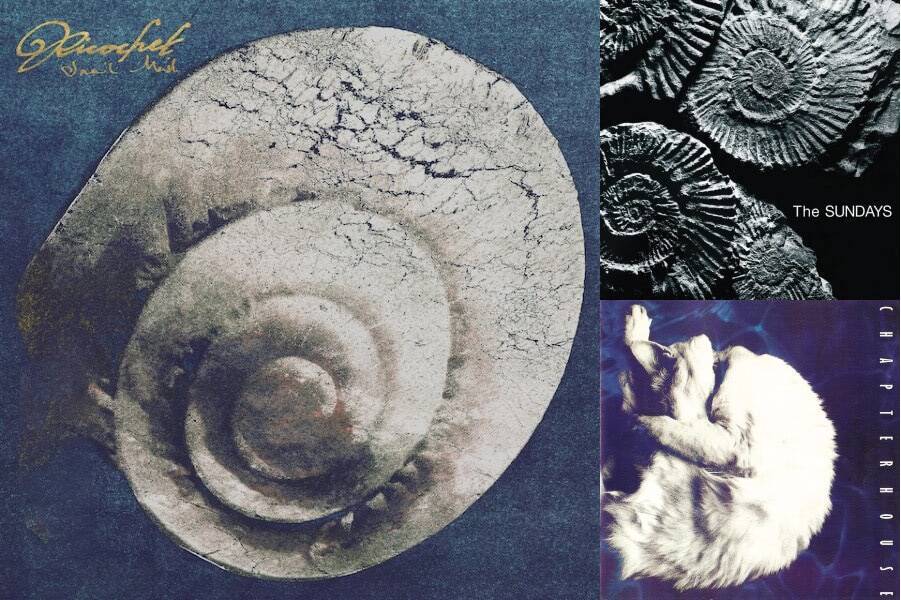 Snail Mailが語る「かけがえのない大切なもの」──ギター、90年代ロック愛、歌声と魂の飛翔