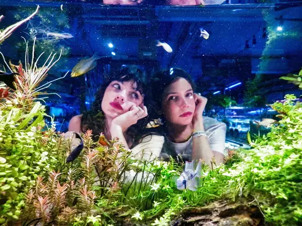 「アルゼンチン発ロックデュオ・PACIFICA、『In Your Face!』で語る“本音と進化”」の画像