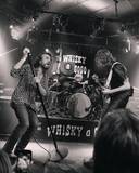 「マネスキンのトーマス・ラッジ×トム・モレロら超一流が集結「ロックンロール復活祭」LA現地レポート」の画像3