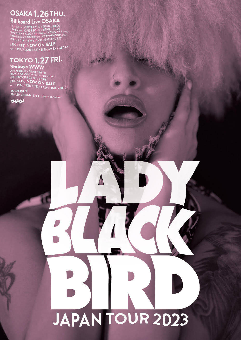 レディ・ブラックバードを今こそ知る　時代を超越した歌声とニーナ・シモン〜アデルの系譜