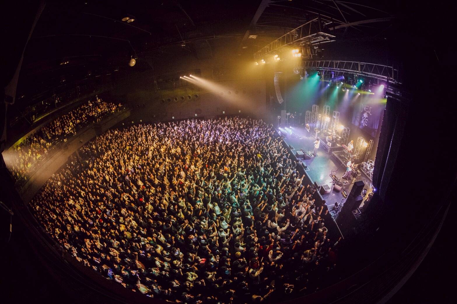 NELKE、感涙のツアーファイナル、Zepp DiverCityに記した人生の重み