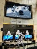 「ザ・レジデンツ9年ぶり来日──『Eskimo』再現ライブの真意、伝説の覆面バンドが思い描く未来」の画像2