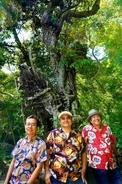 BEGIN、沖縄本土復帰50年の節目の年に、本土復帰30年の2002年にリリースされた「島人ぬ宝」の20周年記念MVを公開！