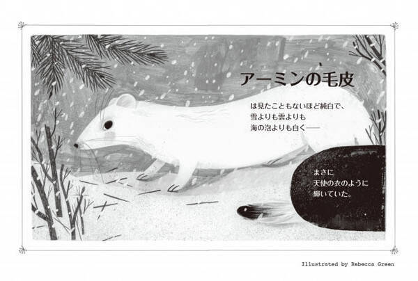 エミュー タランチュラ オコジョ ミズダコ 動物学者が伝えたい 動物たちが教えてくれた 良い生き物 になる方法 発売 19年10月16日 エキサイトニュース