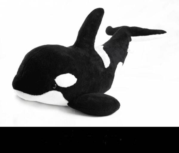 水族館に獅子舞が登場 令和初のお正月 は鴨川シーワールドを満喫鴨川シーワールド お正月限定イベント に 19年12月29日 エキサイトニュース