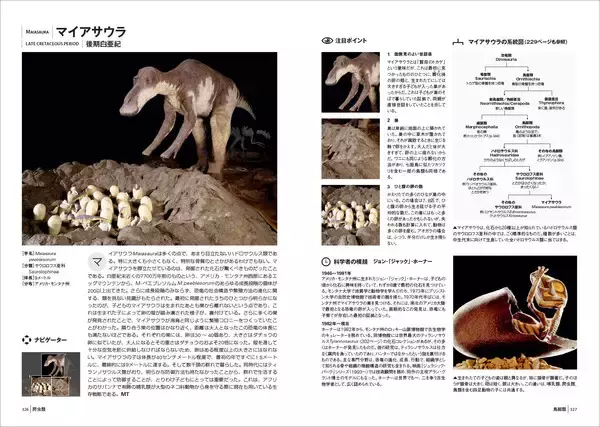 「ロマンは過去にも未来にも関係なく存在している。養老孟司・日本語版総監修『生物の進化大事典』発売！」の画像
