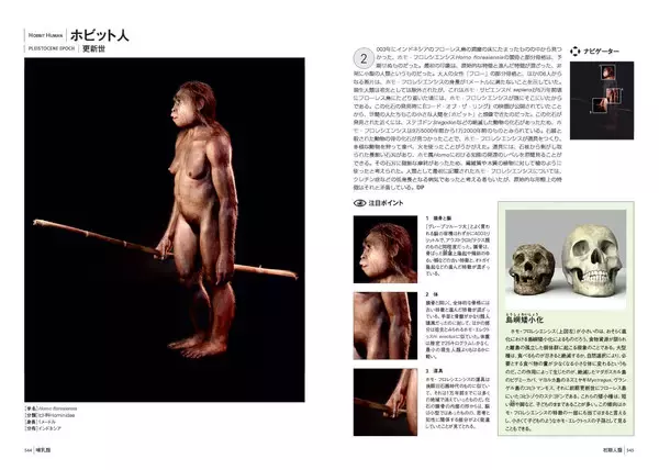 「ロマンは過去にも未来にも関係なく存在している。養老孟司・日本語版総監修『生物の進化大事典』発売！」の画像