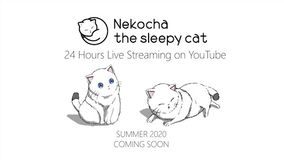 猫×アニメーション×快眠音楽のコラボレーション、新感覚の癒しYouTubeチャンネルが誕生！