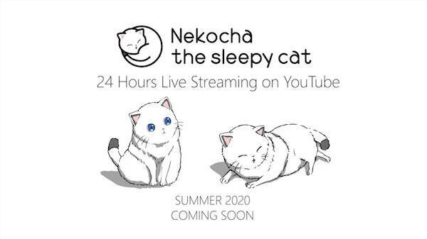 猫 アニメーション 快眠音楽のコラボレーション 新感覚の癒しyoutubeチャンネルが誕生 年6月21日 エキサイトニュース