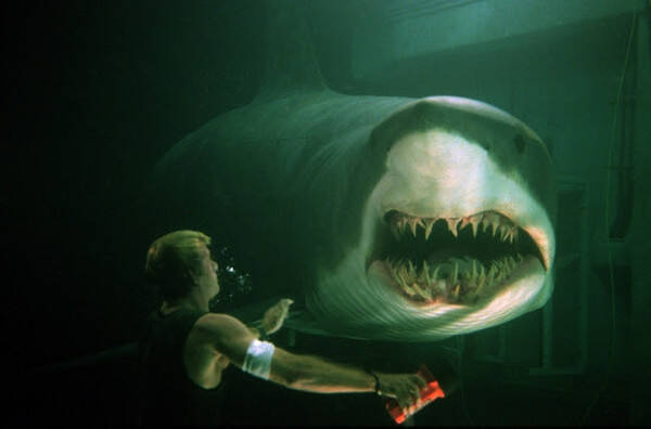 海よりもフカ い サメ映画 の世界へ ムービープラス 特集 サメフェス 放送 同時視聴会を実施 年7月17日 エキサイトニュース