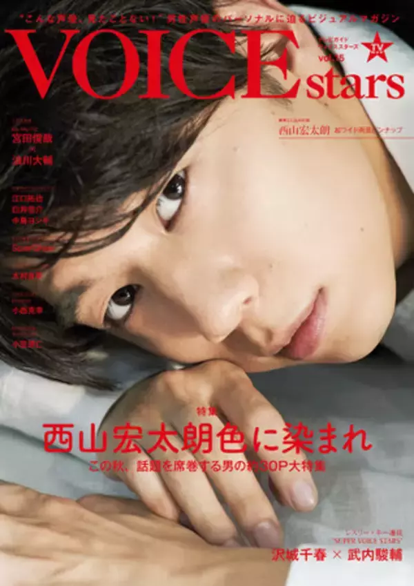 ポスター・ポスカ付美品】ボイスニュータイプ No.067 程よかっ 西山宏太朗